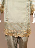 Elegant Fusion Salwar Suit